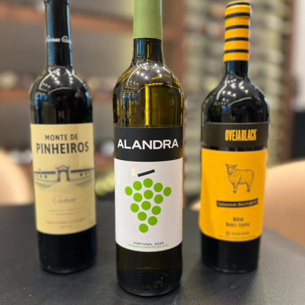 Trio de Vinhos - Argentino e Português